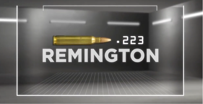 AmmoLocker .223 Remington