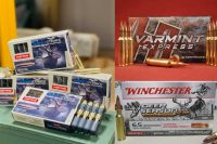 6.5-creedmore-caliber-hunting-ammo-ammunition