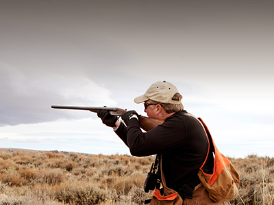 Dove Hunter