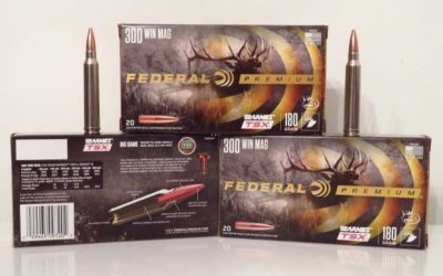 4 Calibers Perfect for Elk Season