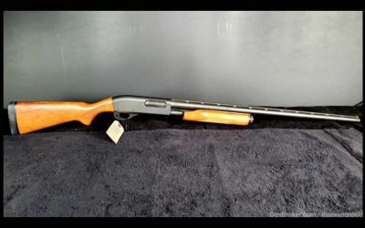 Find Your Perfect Big Game Gun at GunBroker.com