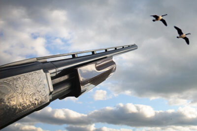 5 Goose Slaying Shotguns to Consider