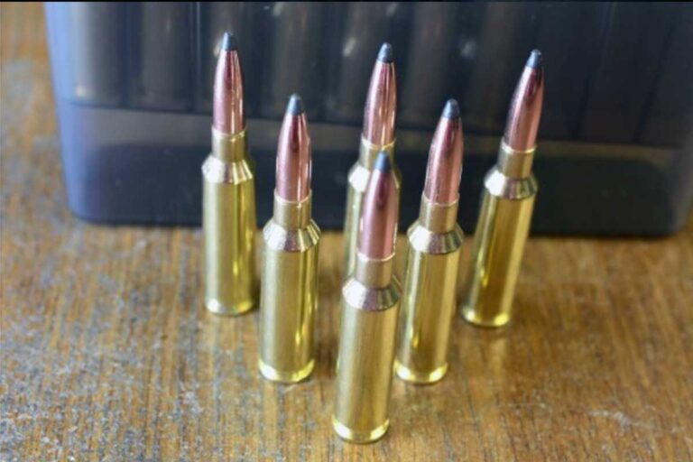 6.5-creedmoor-ammo-1007566961