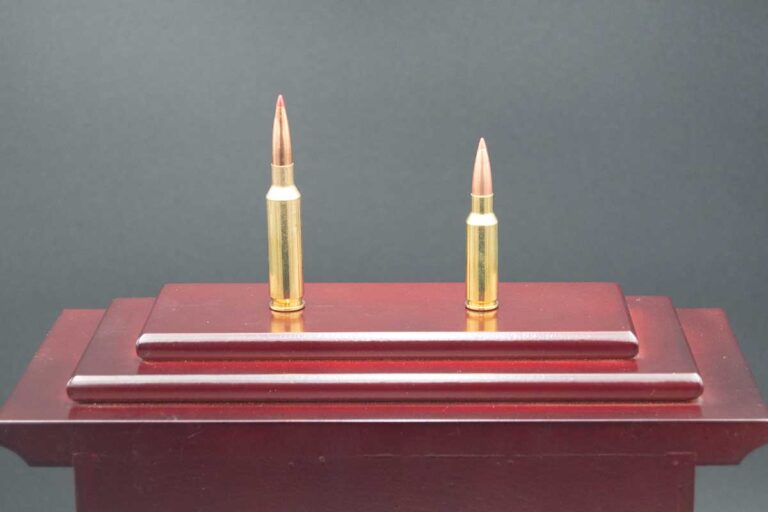 Versus Series: 6.5 Creedmoor vs the 6.5 Grendel