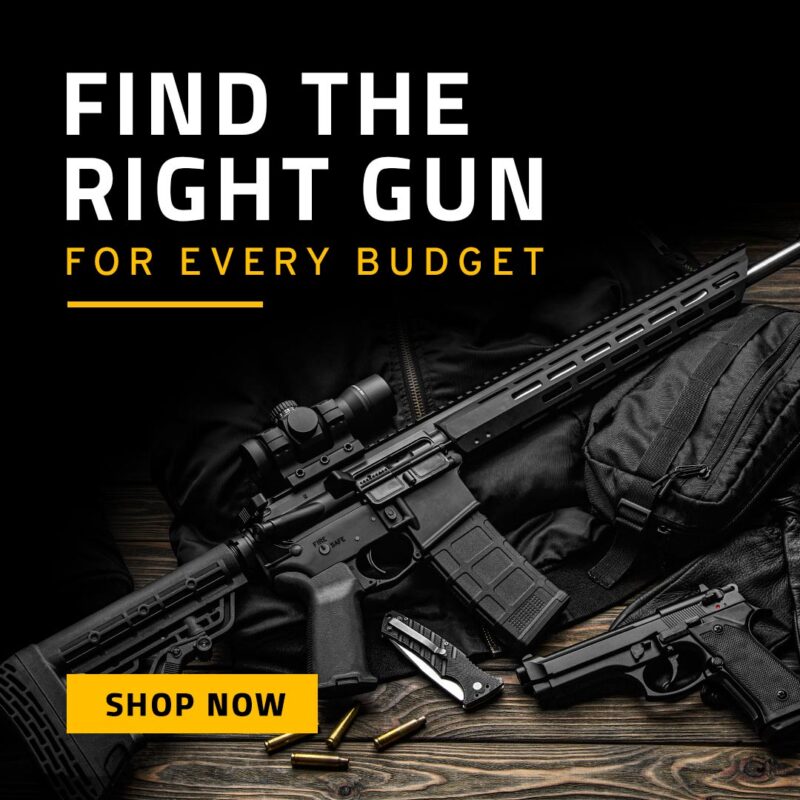 Shop Guns for Every Budget
