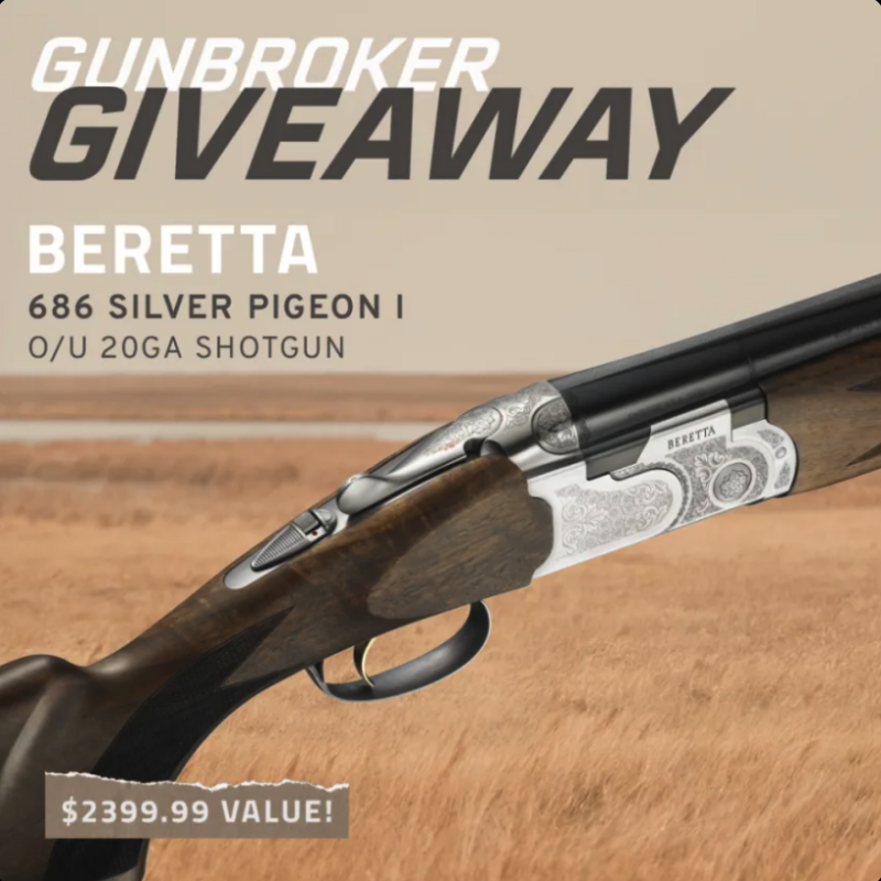 Enter to Win a Beretta 686 Silver Pigeon
20ga Shotgun at GunBroker.com