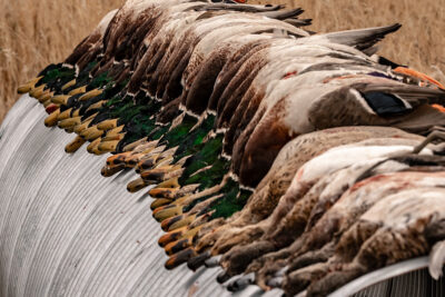 Firearms for Waterfowl Hunting in Canada: The Details