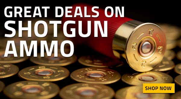 Great Deals on Shotgun Ammo on GunBroker