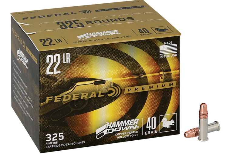 Federal HammerDown 22 LR