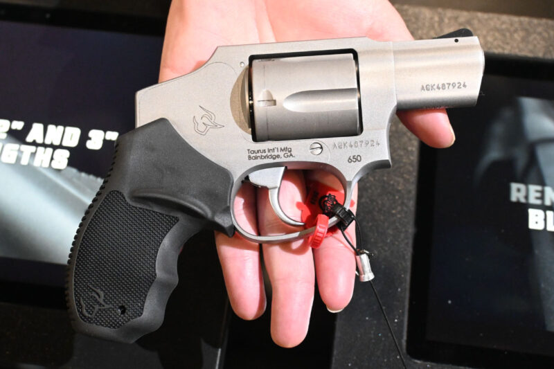 concealed-carry Taurus 650