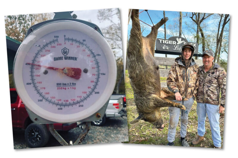 Danny boasts a 95-100% success rate, making his hunt a top choice for hunters of all skill levels