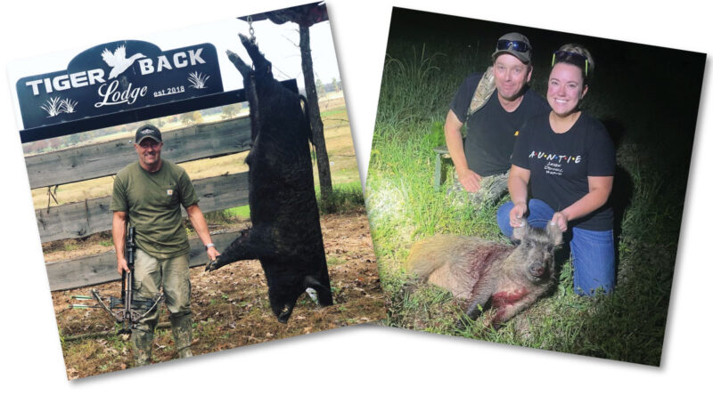 Chasing Hogs in Southwest Arkansas: High-Octane Hunts with Danny Moreland at Tigerback Lodge