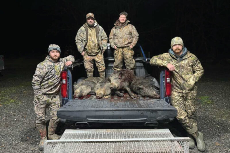Using thermal optics, hunters scan fields and wood lines for heat signatures.