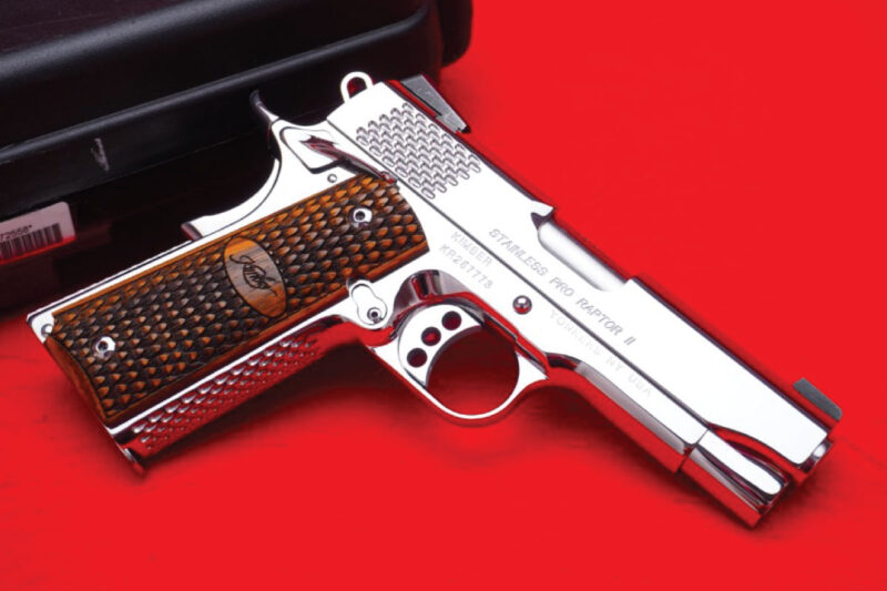 Kimber Stainless Pro Raptor II 1911 .45acp - Bright Stainless