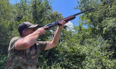 7 Dove Hunting Tips for Success in the First Season