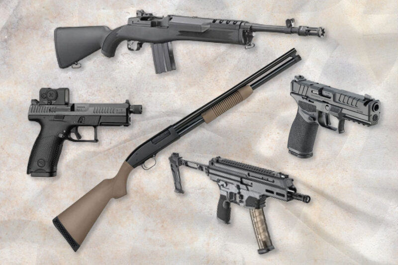 Home-Defense Gun (How and What to Choose)