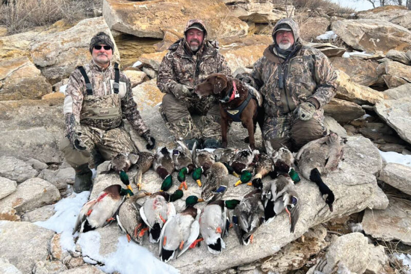 Experience Real Kansas Hunting: Wild Birds, Trained Labs, and True Hospitality